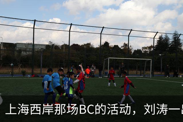 上海西岸那场BC的活动，刘涛一出来，评论区就分成两拨人吵起来了
