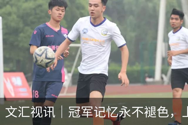 文汇视讯｜冠军记忆永不褪色，上海大鲨鱼主场温情致敬弗格