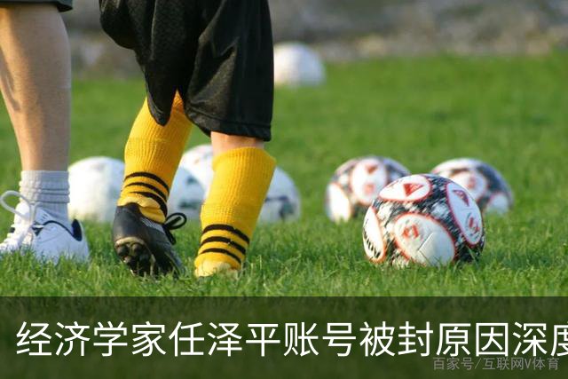 经济学家任泽平账号被封原因深度分析