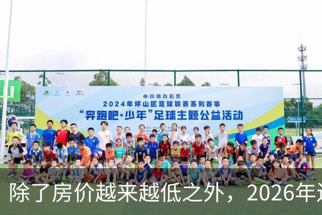 除了房价越来越低之外，2026年还将迎来4大“贬值潮”！