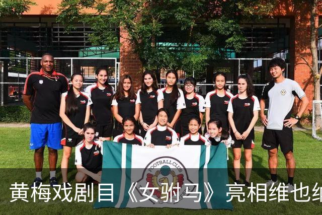 黄梅戏剧目《女驸马》亮相维也纳“中国戏演出季”